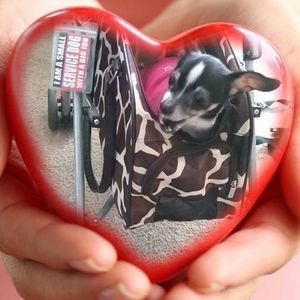 Meet your Posher, Carly